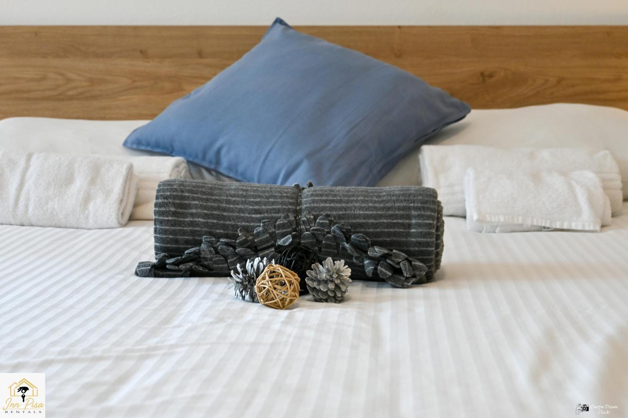 - The Modern Flat Appartement Pisa